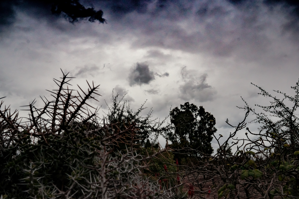 Dobevil Where Does Evil Come From? - Relational Gospel | Relational Gospel